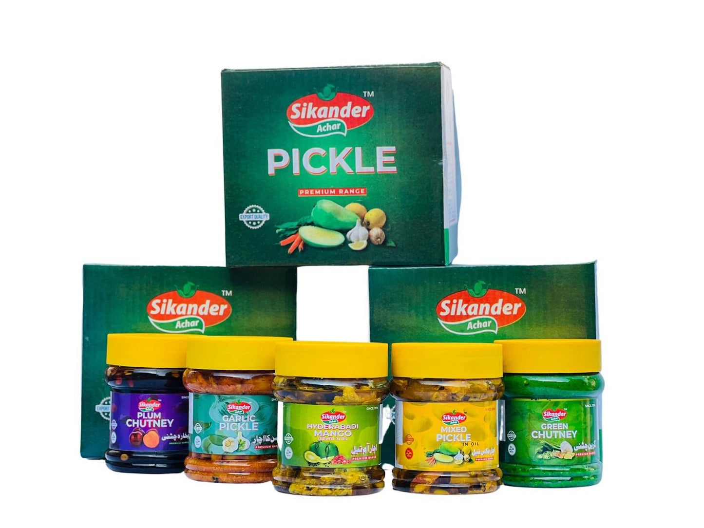 Pack of 5 ( Mixed Pickle , Mango Pickle , Garlic Pickle , Green chutney, Plum chutney)500g